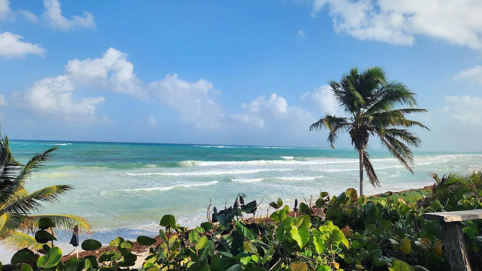 Casa De Tres Recamaras Con Alberca Compartida Con Hermosas Vistas A La Jungla Y Cerca De Todo, Ruinas, Cenotes, Laguna, Playa, Con Cochera Privada contacts